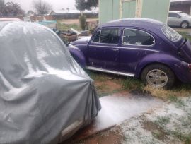 1966  Volkswagen Beetle 