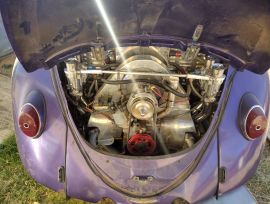 1966  Volkswagen Beetle 