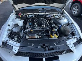 2008 Ford Shelby gt 500
