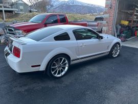 2008 Ford Shelby gt 500