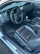 2008 Ford Shelby gt 500