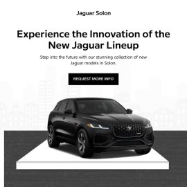 Jaguar Solon