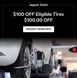 Jaguar Solon