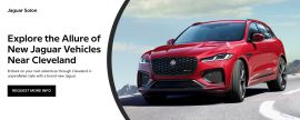 Jaguar Solon