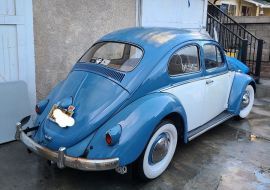 1960 Volkswagen Bug