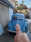 1960 Volkswagen Bug