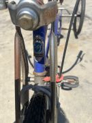 Antique Mustang Beach Cruiser