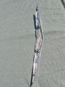 Chevy Corvair Trunk Emblem