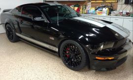 2007 Ford Shelby GT/SC